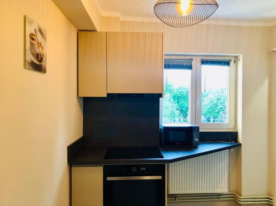 Joy City Stay Victoriei 7G-13 Timişoara Exteriör bild